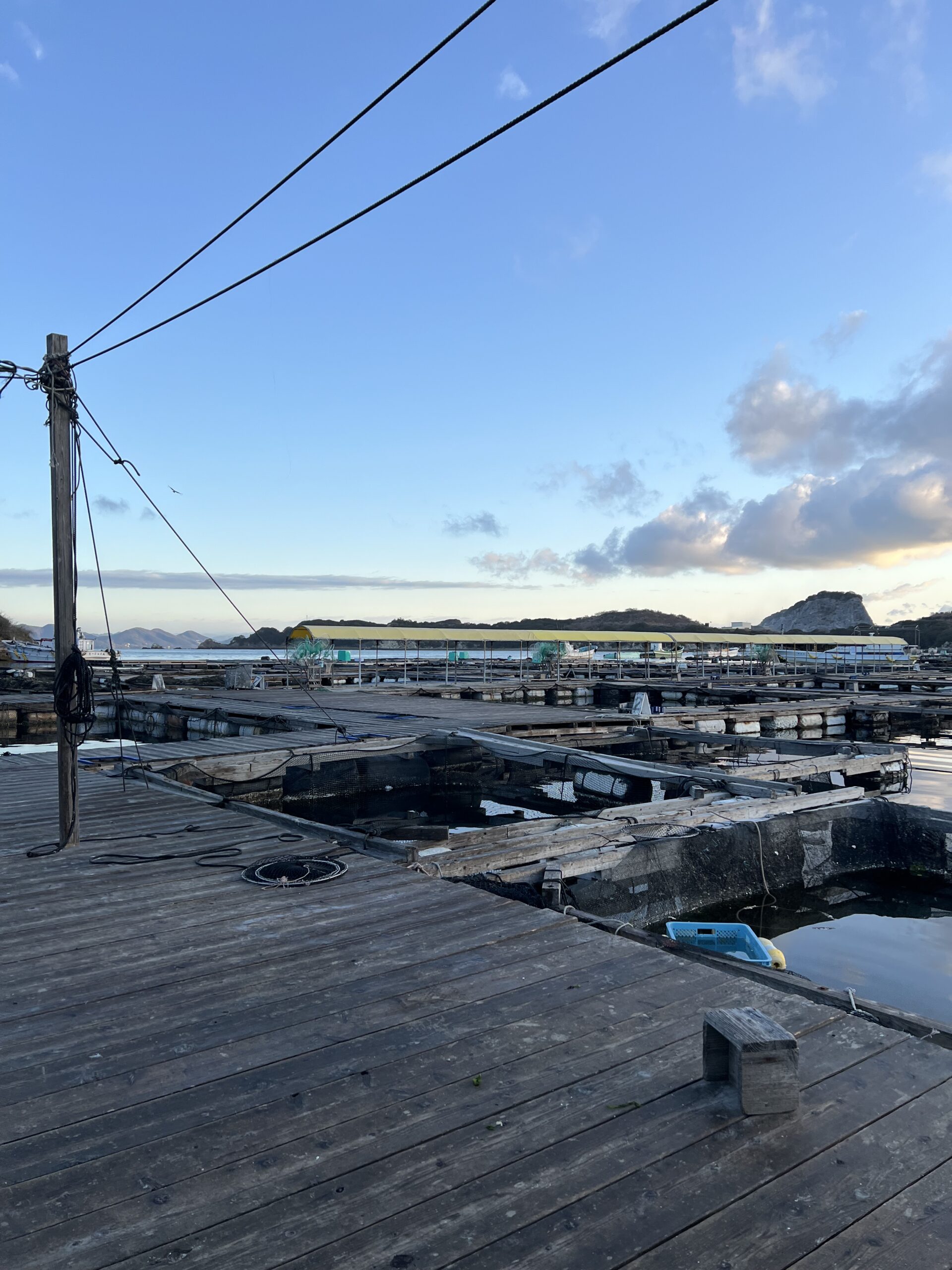 海上釣り堀 水宝