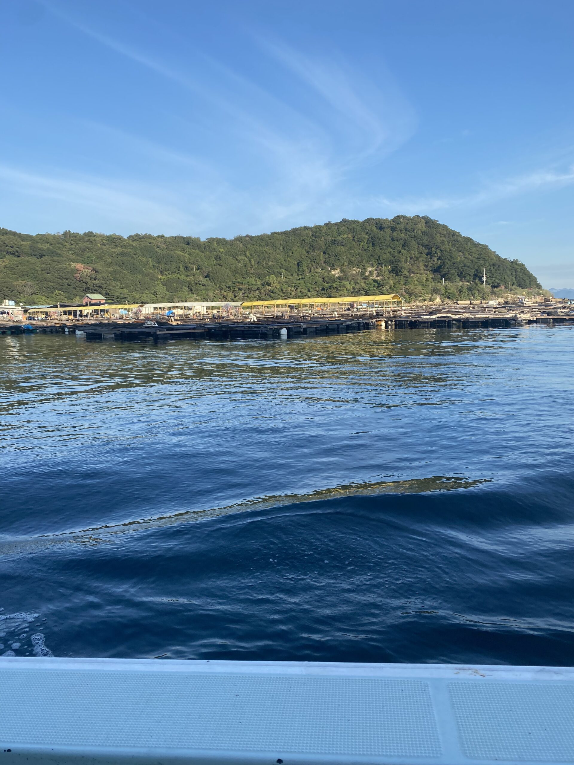 海上釣り堀