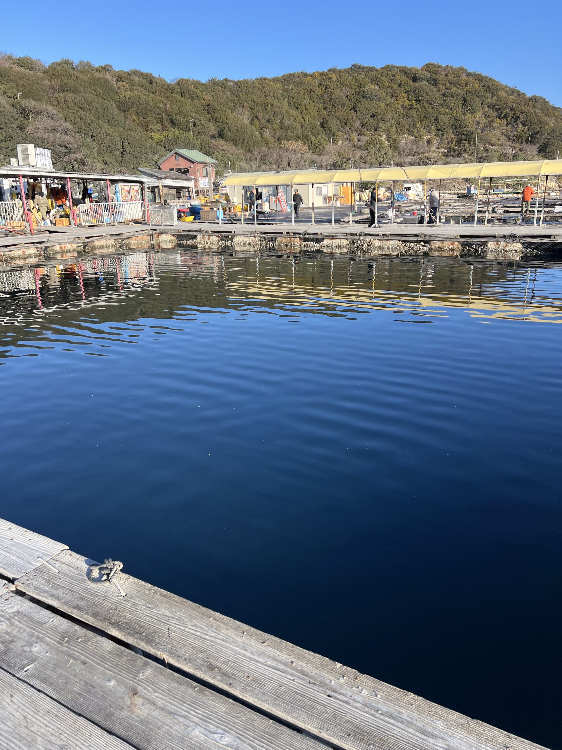 海上釣り堀、水宝