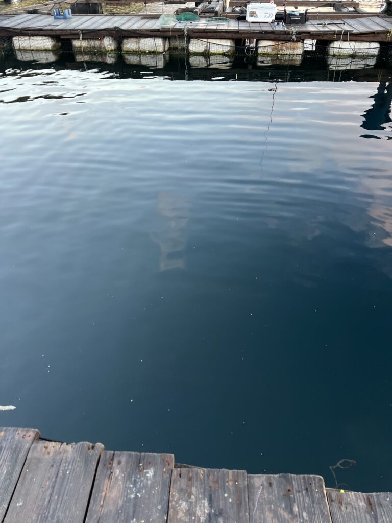 海上釣り堀水宝