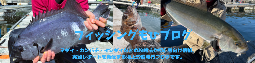 フィッシングもひブログ